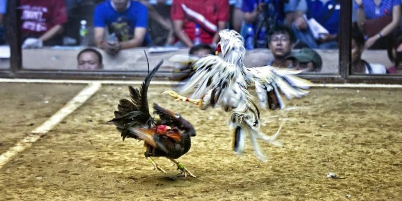 1234 player ﻿đăng nhập lô đề uy tín