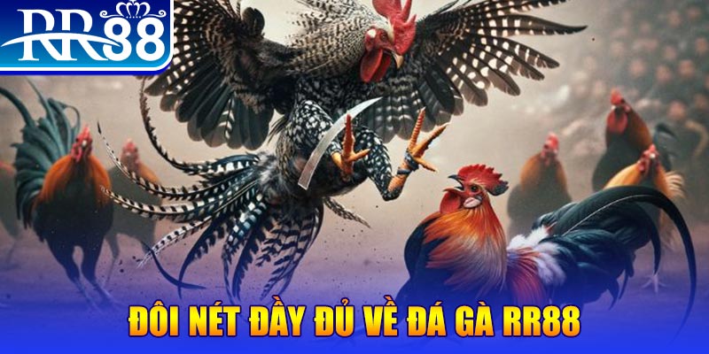 1234 player gà chọi hoà phong