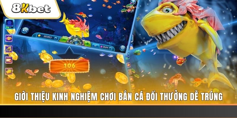 1234 player xổ số miền bắc hôm