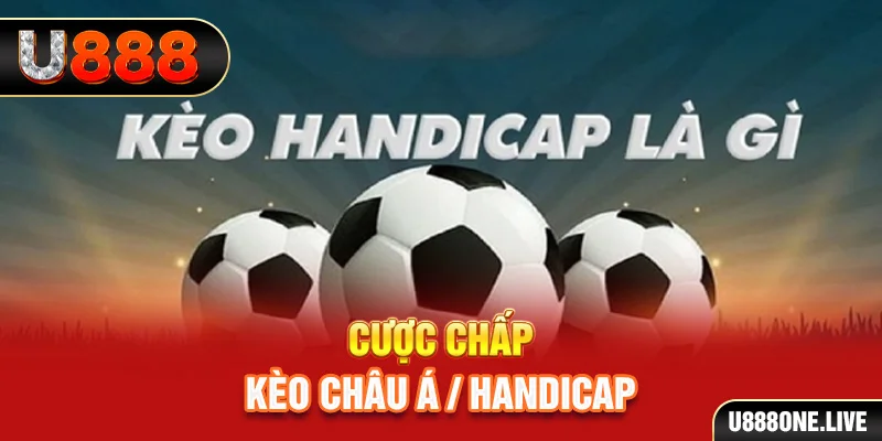 1234 player tải game đánh bài tiến lên miền nam về máy tính