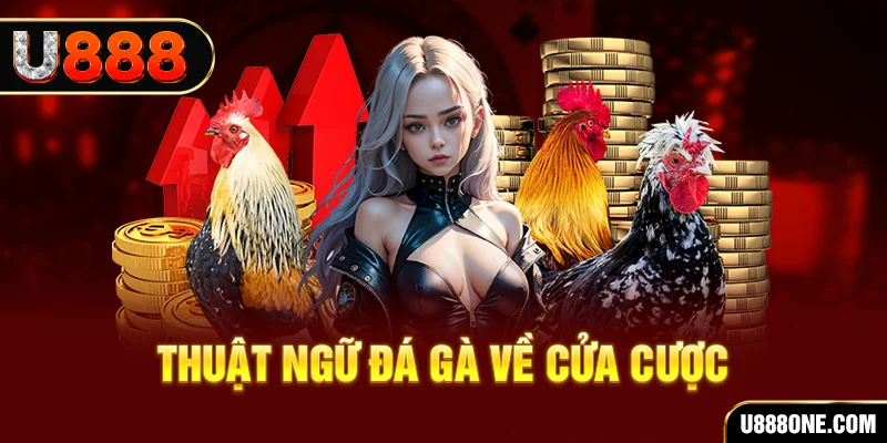 1234 player da ga 88