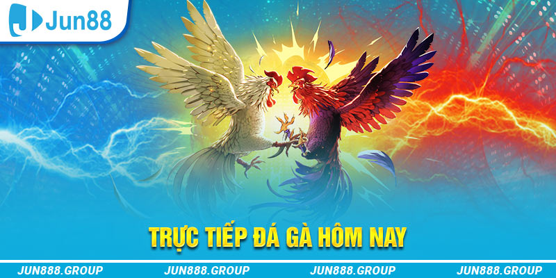 1234 player trực tiếp đá gà thomo