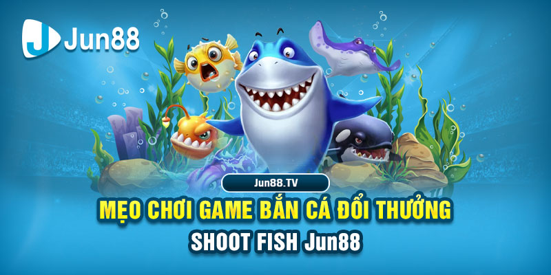 1234 player tải game đánh bài online về máy tính