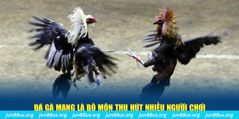 1234 player xổ số long an