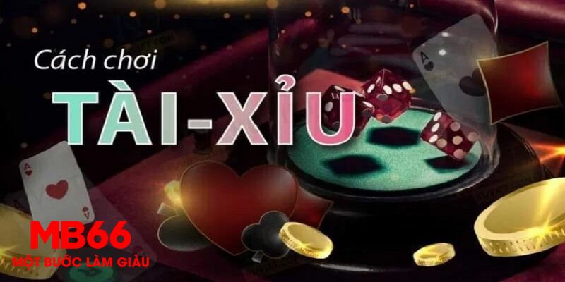 1234 player 1 slot là gì