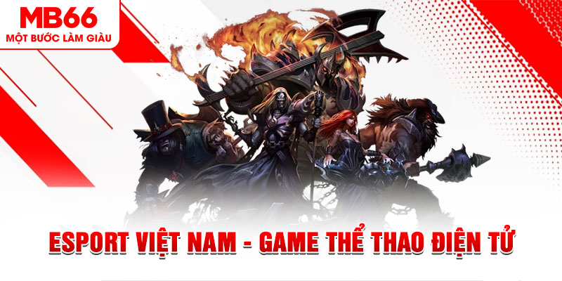 1234 player PT Điện Tử