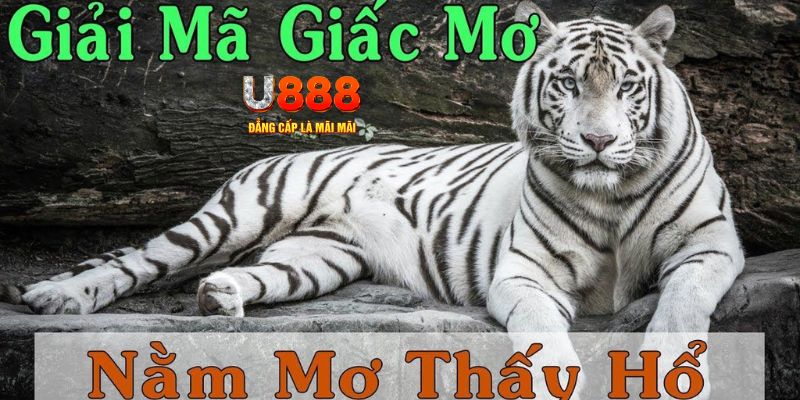 1234 player Bài Poker Joker