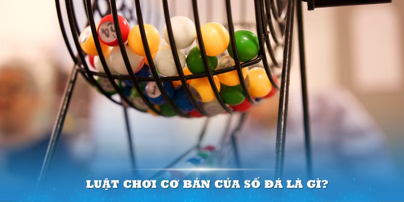 1234 player Đĩa màu ace