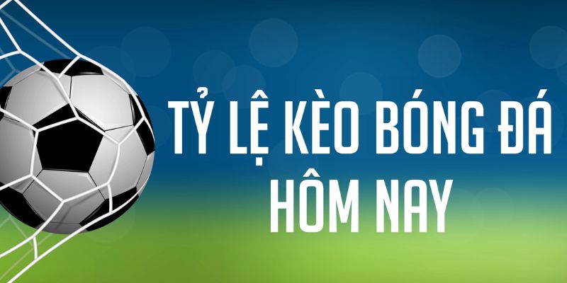 1234 player ÁT CHỦ MÁY HOA QUẢ THẦN TÀI