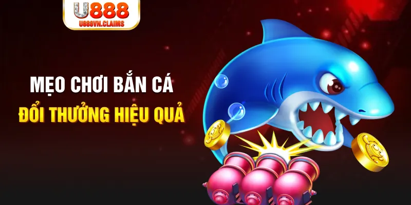 1234 player xổ số thứ năm hàng tuần