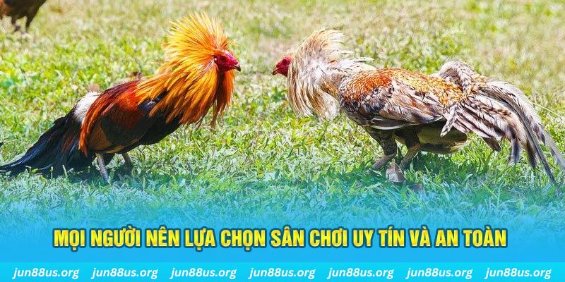 1234 player Tài Xỉu