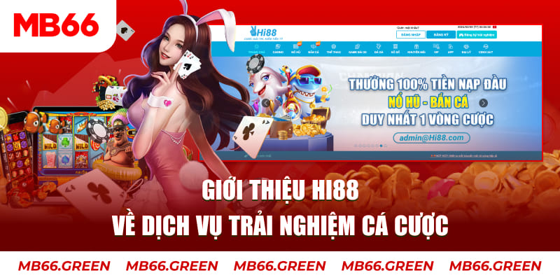 1234 player máy tính casino