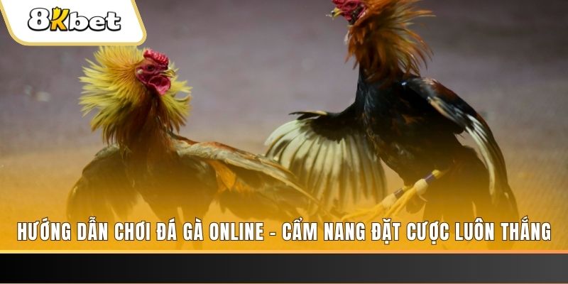 1234 player tai game danh bai bigkool ve may tinh