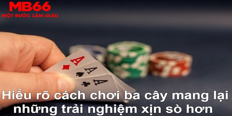 1234 player DB Trực Tuyến