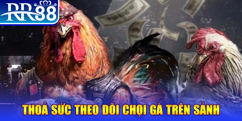 1234 player casino online là gì