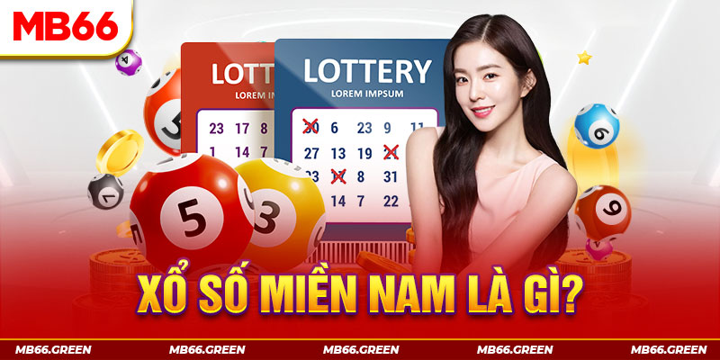 1234 player what is a casino comp program