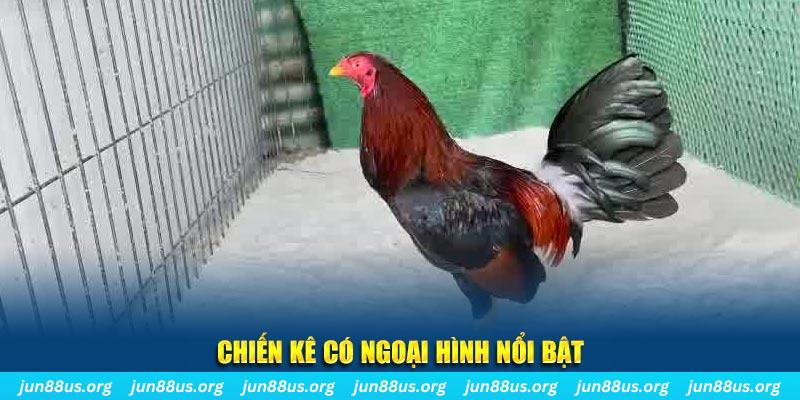 1234 player nhạc slot là gì